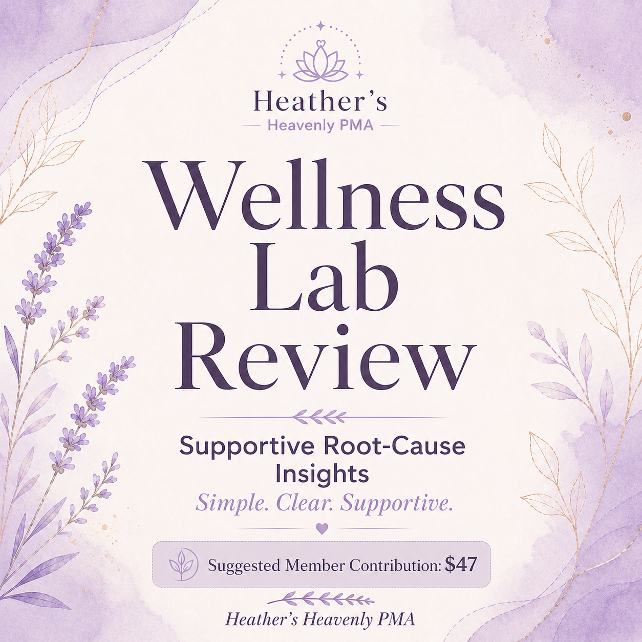 Wellness Lab Review | Supportive Root-Cause Insights